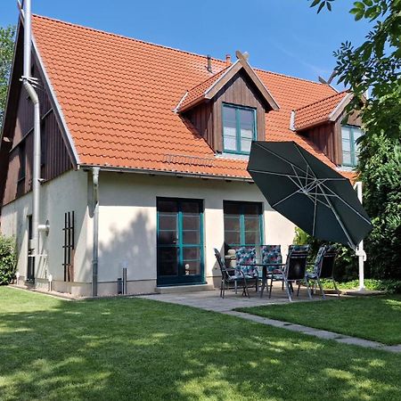 Ferienhaus Hase Villa Burg  Dış mekan fotoğraf