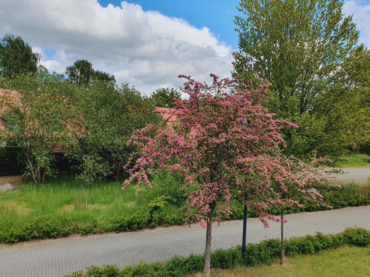 Ferienhaus Hase Villa Burg  Dış mekan fotoğraf