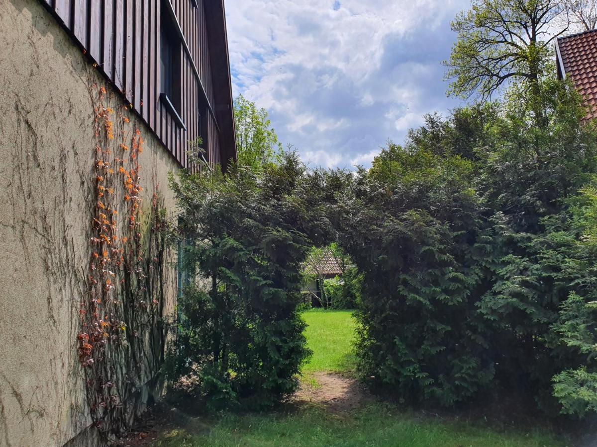 Ferienhaus Hase Villa Burg  Dış mekan fotoğraf